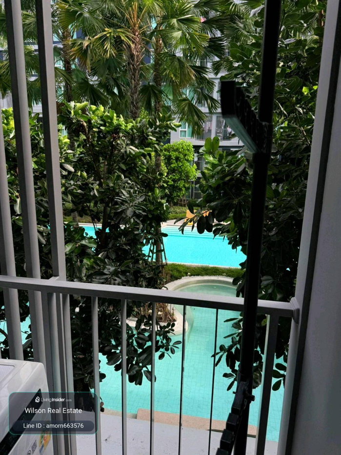 รูป 🏢 ให้เช่า 𝗞𝗔𝗩𝗘 𝗧𝗢𝗪𝗡 𝗜𝗦𝗟𝗔𝗡𝗗 | วิวสระ 🌊 | ตึก G ชั้น 2 | 24 ตร.ม. | ตึกเดียวกับ Fitness - รูปที่ 6/29