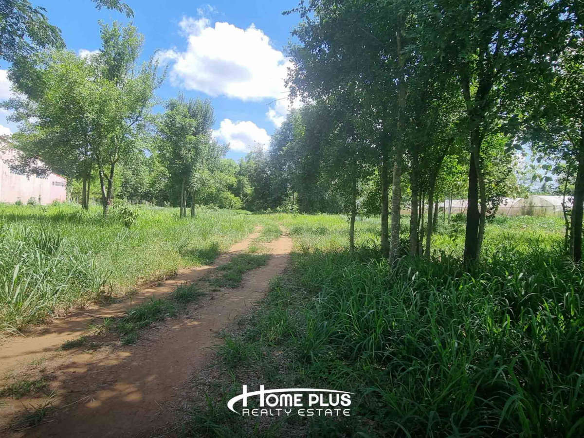 รูป 🌳 ขายที่ดิน 1 ไร่ 57.4 ตร.ว. ถนนบ้านไร่ หนองสาหร่าย ปากช่อง ใกล้วัดหนองสาหร่าย - รูปที่ 2/7