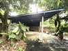 listing thumbnail image 29