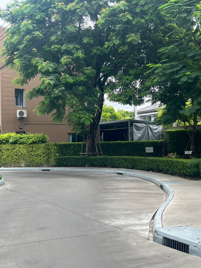 picture  联排别墅，却拥有独栋住宅般的居住体验！边户，私密性极佳，门前道路宽达12米，为社区最后一栋  拎包即可入住，正在等待它的新主人！今天就把它带回家吧！ - 19/21
