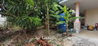 listing thumbnail image 24