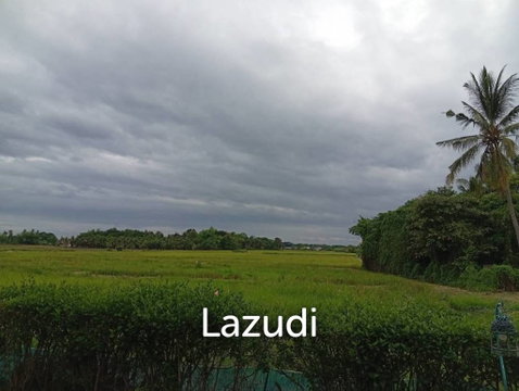 Prime Rice Field Plot for sale