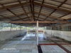 listing thumbnail image 28