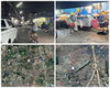 listing thumbnail image 4