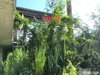 listing thumbnail image 27