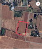 listing thumbnail image 1