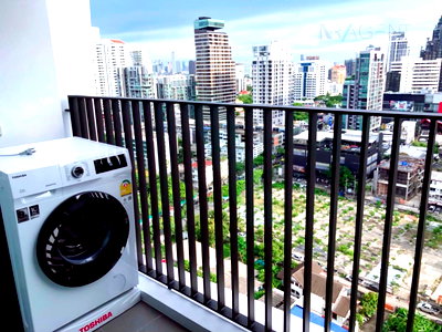 Condos for rent : 🔺 For Rent Condo XT EKKAMAI Building 1, Floor 19,1 bed room, Room size 30 sqm
