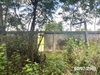 listing thumbnail image 27