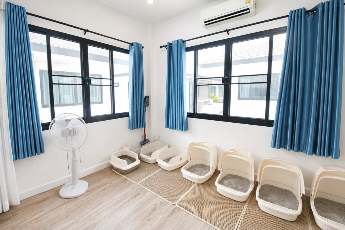 รูป ขายบ้านแฝด 2 ชั้น  42.6 ตร.ว. 3 ห้องนอน หมู่บ้านสกายวิลล์ (Skyville) บ้านแลง ระยอง ใกล้ IRPC  - รูปที่ 16/22