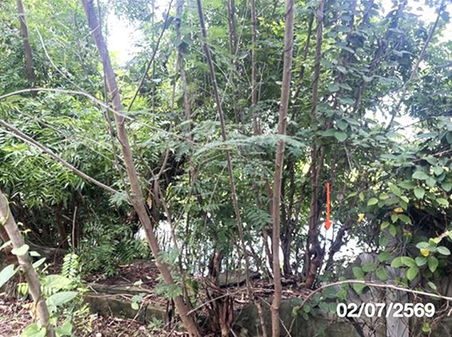 picture FACTORY 800 Sq.w. Hua Taphan Amnat Charoen for 1.3M - 15/33
