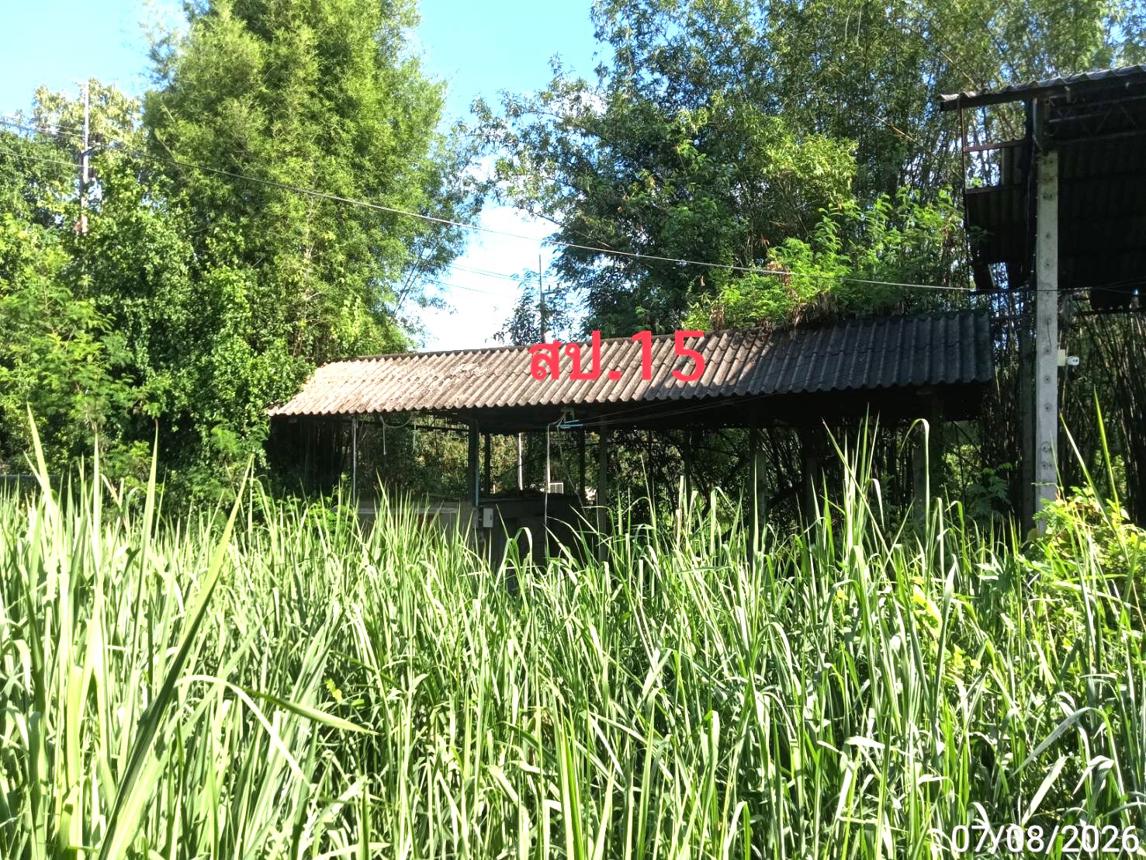 picture FACTORY 2776 Sq.w. Mae Wang Chiang Mai for 10.5M - 40/47