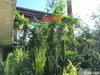 listing thumbnail image 6