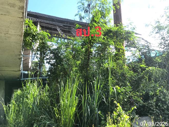 picture FACTORY 2776 Sq.w. Mae Wang Chiang Mai for 10.5M - 7/47