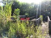 listing thumbnail image 16