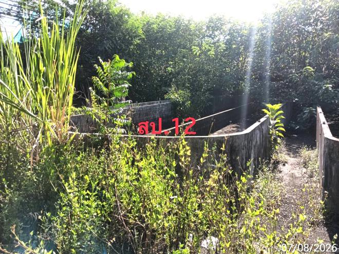 picture FACTORY 2776 Sq.w. Mae Wang Chiang Mai for 10.5M - 17/47