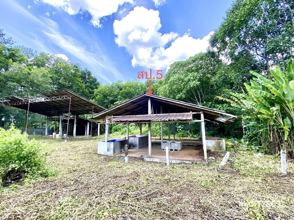 picture HOME 869 Sq.w. Na Yong Trang for 5.2M - 40/45