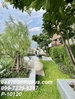 listing thumbnail image 13