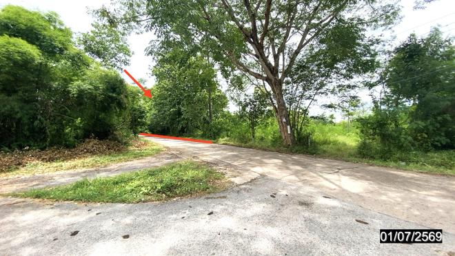 picture LAND 6615 Sq.w. Phu Kradung Loei for 6.9M - 2/13