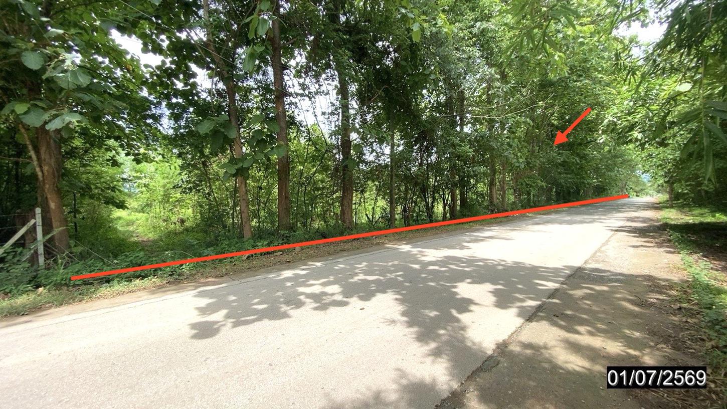 picture LAND 6615 Sq.w. Phu Kradung Loei for 6.9M - 6/13