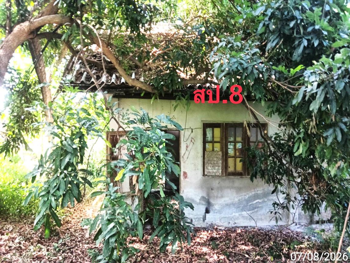 picture FACTORY 2776 Sq.w. Mae Wang Chiang Mai for 10.5M - 34/47