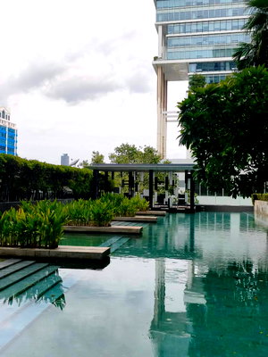 Condos for rent : 🏙️Quattro by Sansiri (BTS Thong lor) 1BR (53 sq.m.) Unblocked City View! 🏙️
