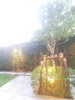 listing thumbnail image 12