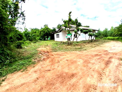 ขายบ้านเดี่ยว : บ้านเดี่ยว 400 ตร.วา เชียงขวัญ ร้อยเอ็ด 1.6M
