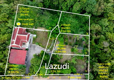 Land for sale Surat Thani : Land 850 SQ.M with Mountain View in Bang Rak, Koh Samui