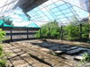listing thumbnail image 29