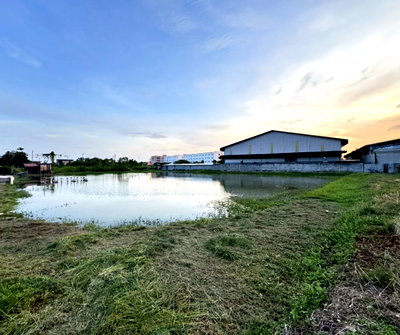 ที่ดิน เมืองสมุทรปราการ สมุทรปราการ : ขาย ที่ดิน เทพารักษ์ ซอยขจรวิทย์           เนื้อที่ 2 ไร่
