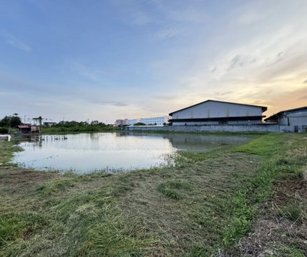 ขาย ที่ดิน เทพารักษ์ ซอยขจรวิทย์           เนื้อที่ 2 ไร่