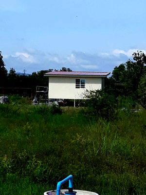 Land for sale Ban Na Nakhon Nayok :  Land for sale, 1 Rai, Ban Phrik, Nakhon Nayok.