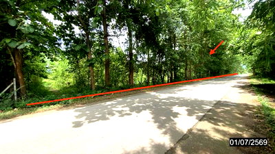LAND 6615 Sq.w. Phu Kradung Loei for 6.9M
