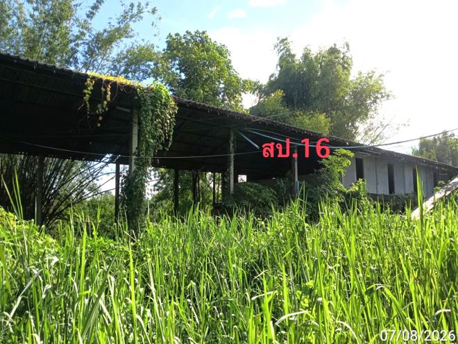 picture FACTORY 2776 Sq.w. Mae Wang Chiang Mai for 10.5M - 20/47
