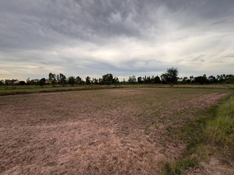รูป ขายที่ดิน 19.9ไร่ ตำบลโนนท่อน อำเภอพล จังหวัดขอนแก่น - รูปที่ 4/12