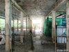 listing thumbnail image 25