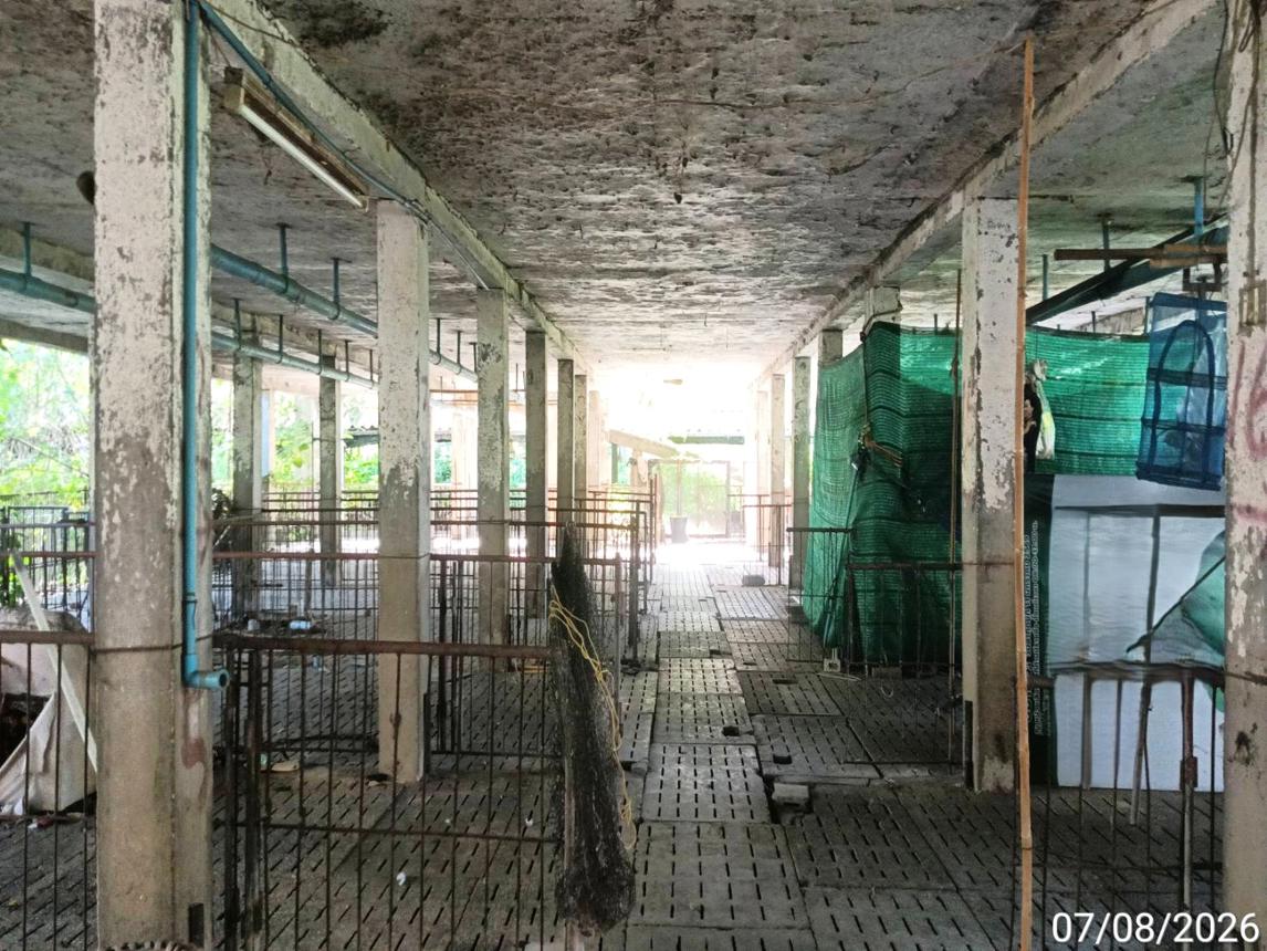 picture FACTORY 2776 Sq.w. Mae Wang Chiang Mai for 10.5M - 26/47