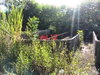 listing thumbnail image 37