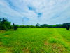 listing thumbnail image 26