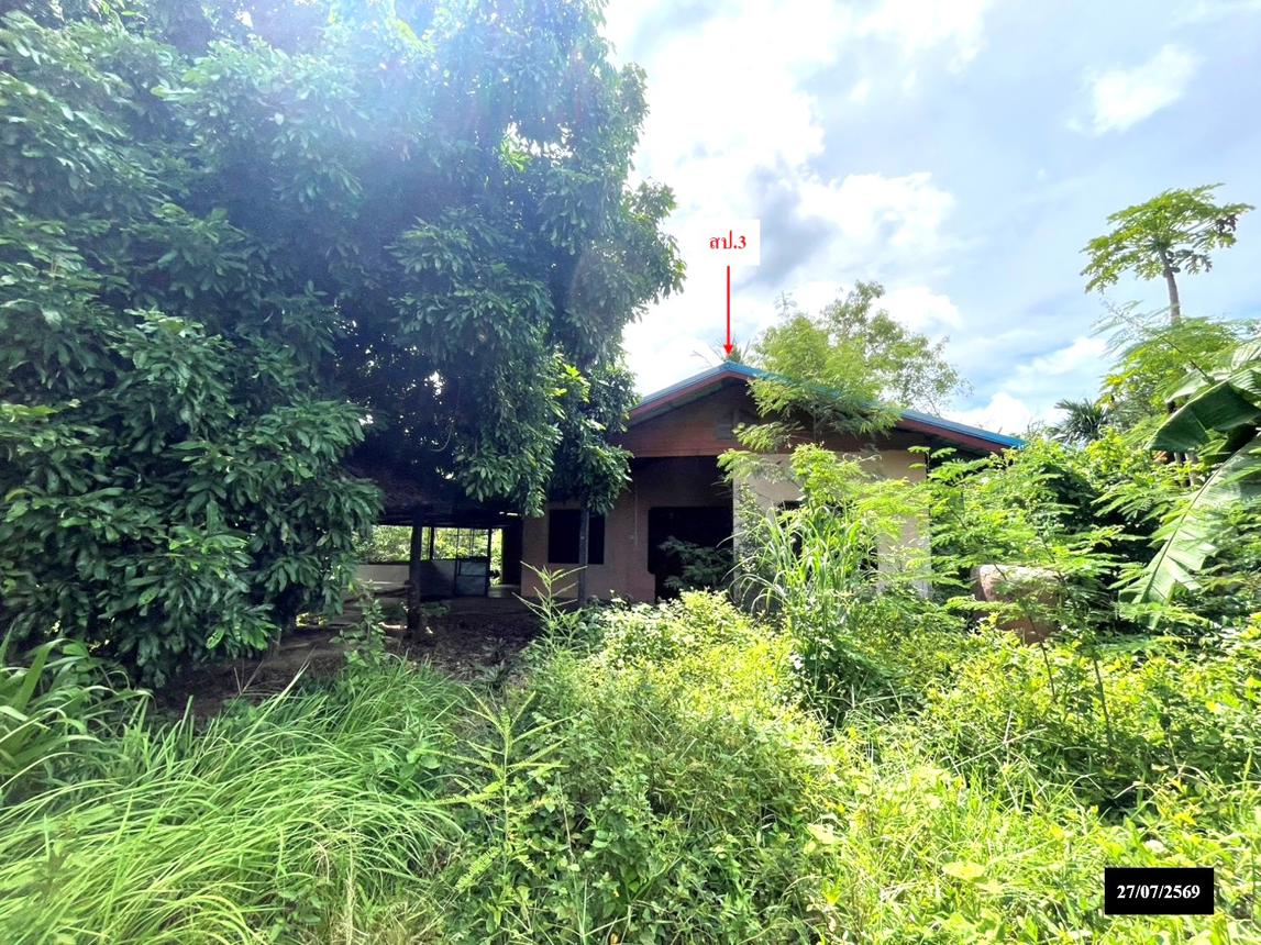 รูป บ้านเดี่ยว 517 ตร.วา วาริชภูมิ สกลนคร 2.1M - รูปที่ 38/45