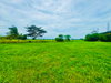 listing thumbnail image 24