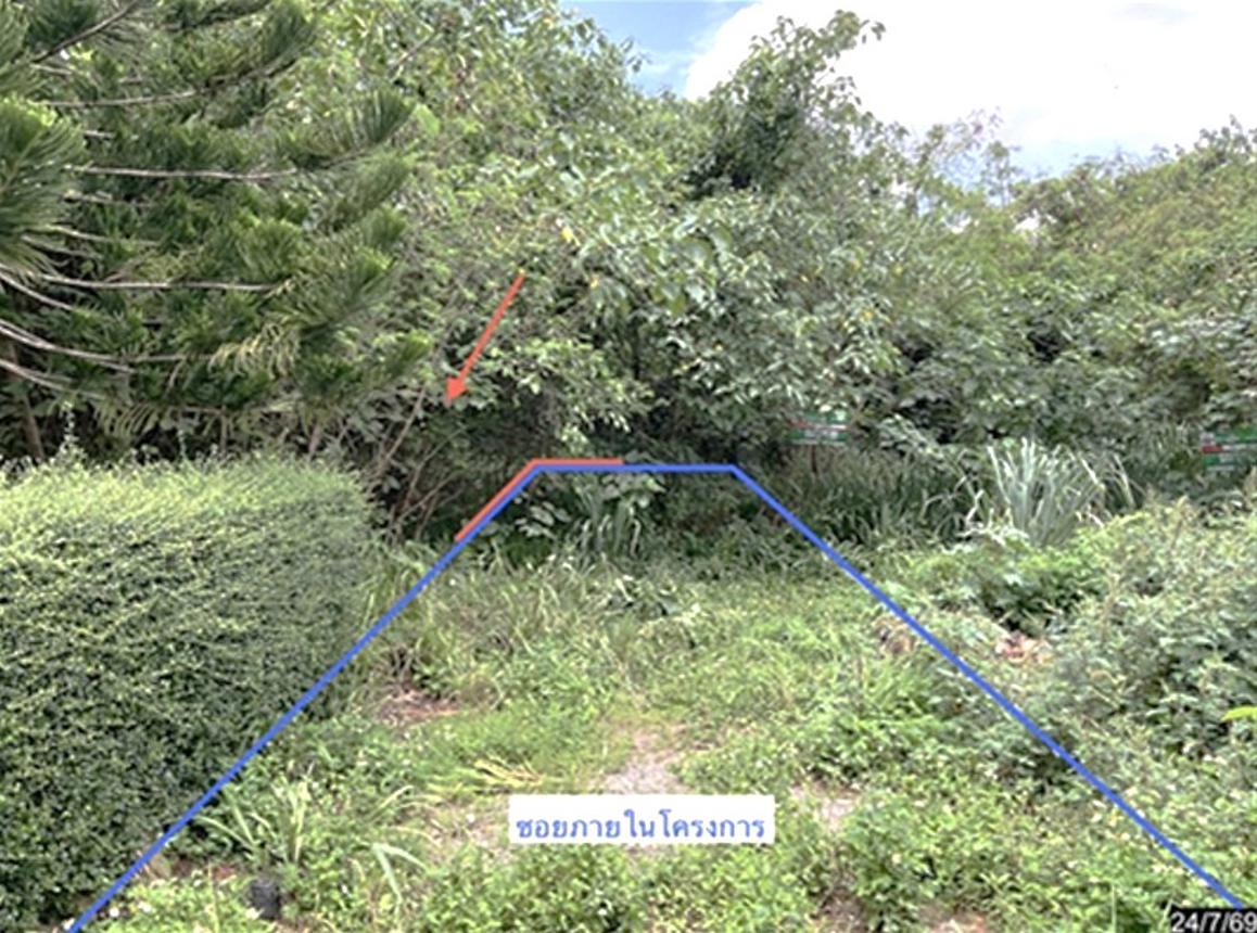 รูป ที่ดินว่างเปล่า 929 ตร.วา ภูริพิมาน ปากช่อง นครราชสีมา 4.4M - รูปที่ 9/19