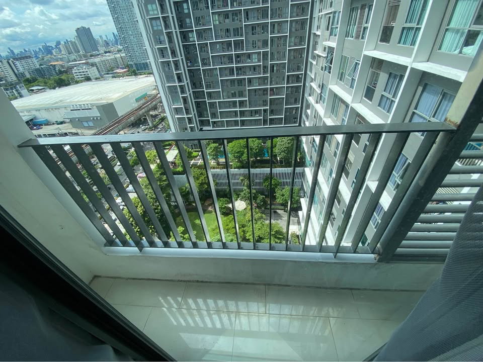 รูป #ปล่อยเช่า Ideo Mobi Sukhumvit 81 (ไอดีโอ โมบิ สุขุมวิท 81) - รูปที่ 11/11