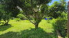 listing thumbnail image 17