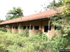 listing thumbnail image 17