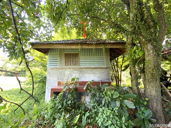 picture HOME 293.1 Sq.w. Muang Phatthalung Phatthalung for 6.5M - 17/49