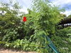 listing thumbnail image 10