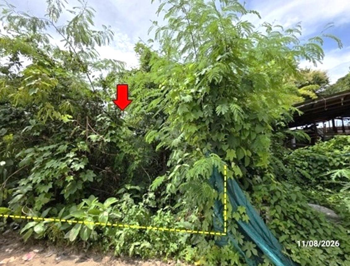 รูป ที่ดินว่างเปล่า 165 ตร.วา เมืองหนองบัวลำภู หนองบัวลำภู 644,000 - รูปที่ 11/17