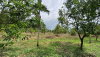 listing thumbnail image 4