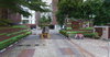listing thumbnail image 42